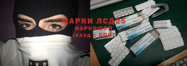 стаф Алзамай