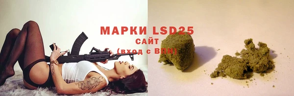 стаф Алзамай
