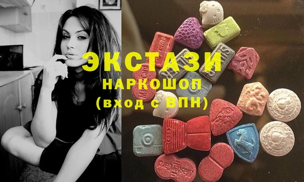 стаф Алзамай