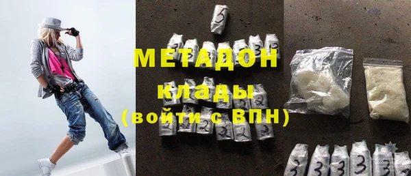 стаф Алзамай