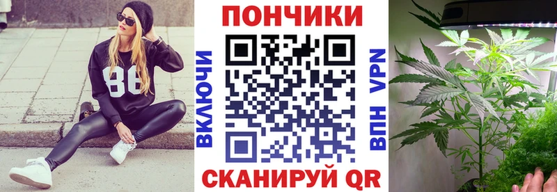 Каннабис тримм  как найти наркотики  Кашин 